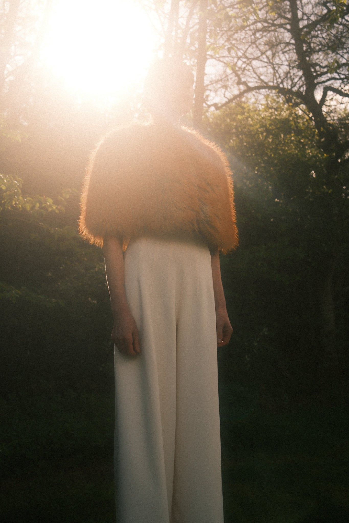 July in F.Fox