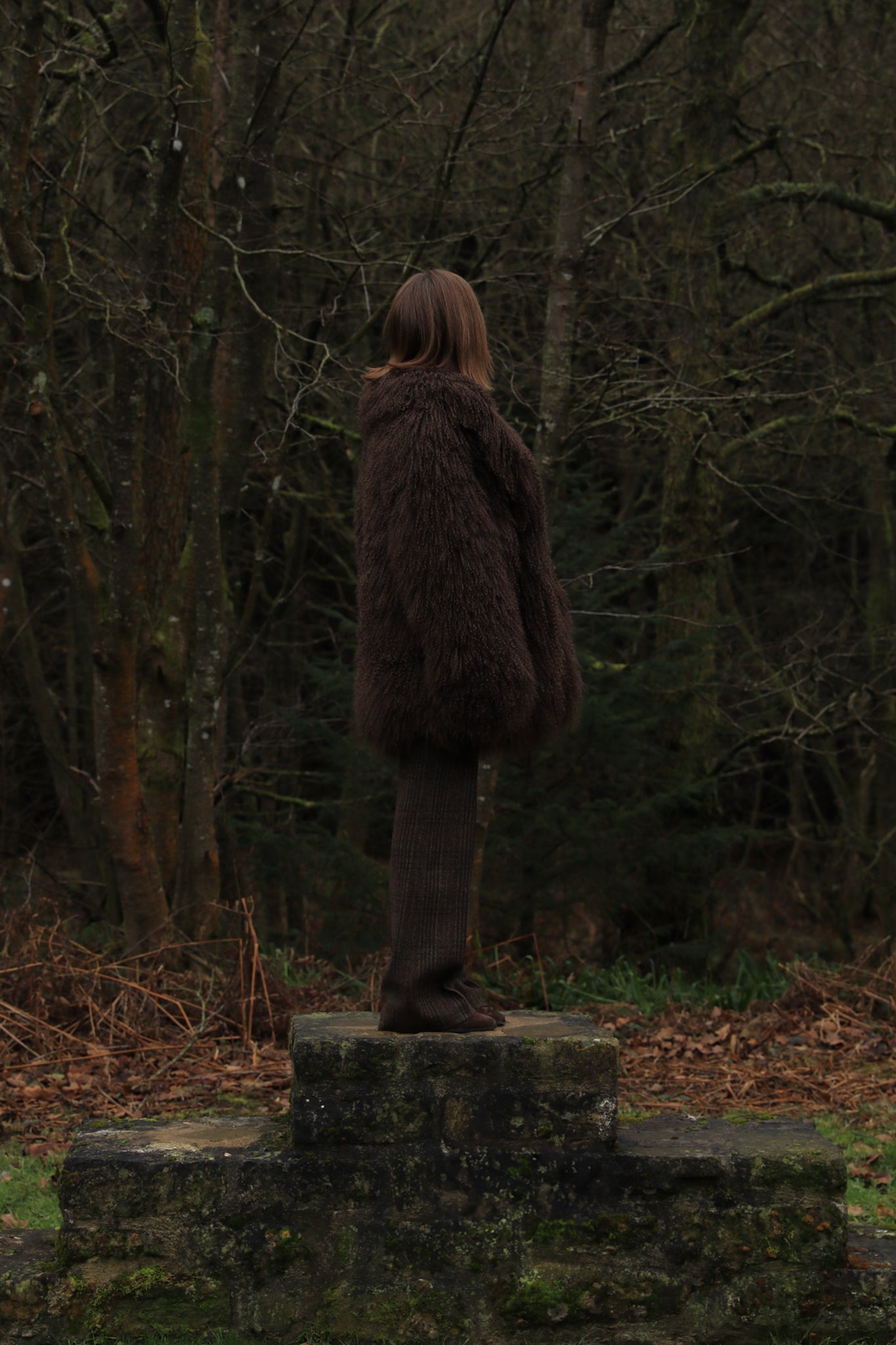 Joan in Brown