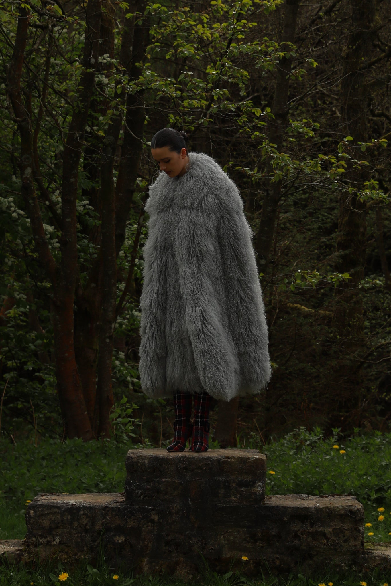 Emory in Pigeon