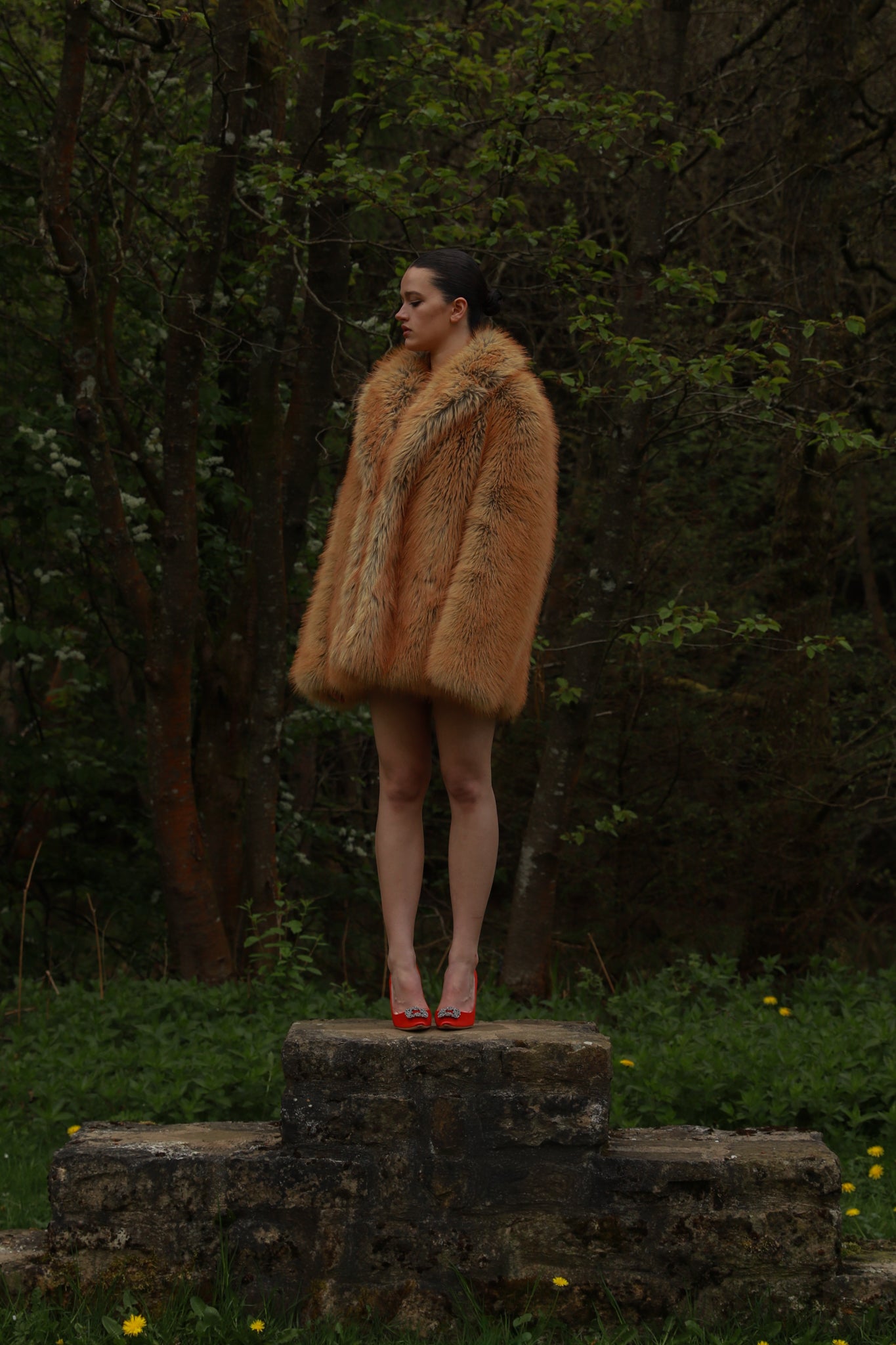 Joan in F.Fox
