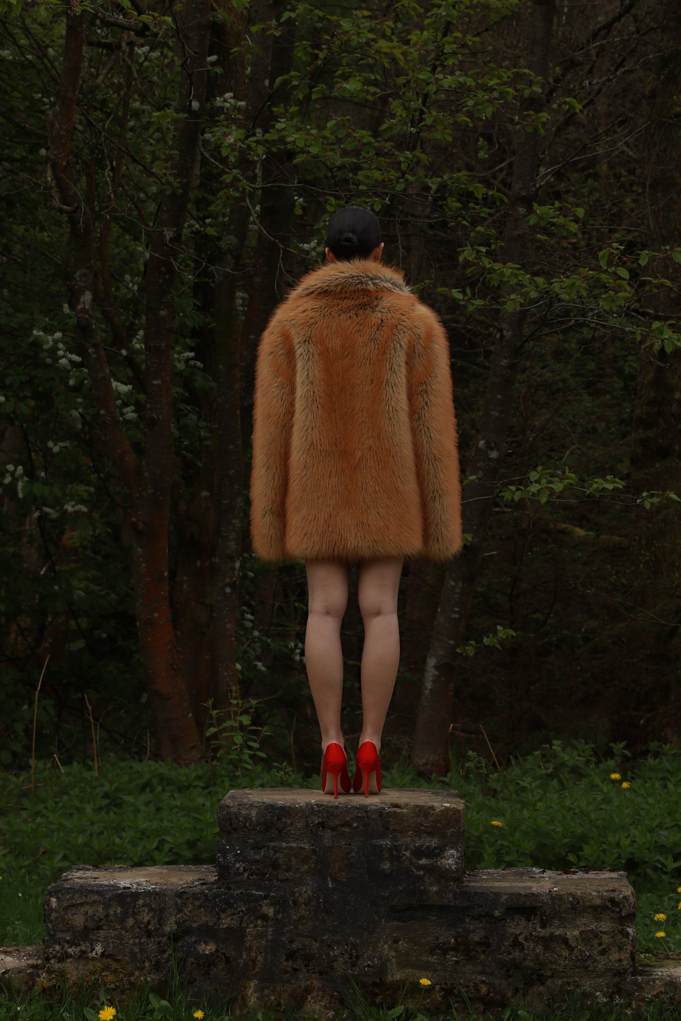 Joan in F.Fox