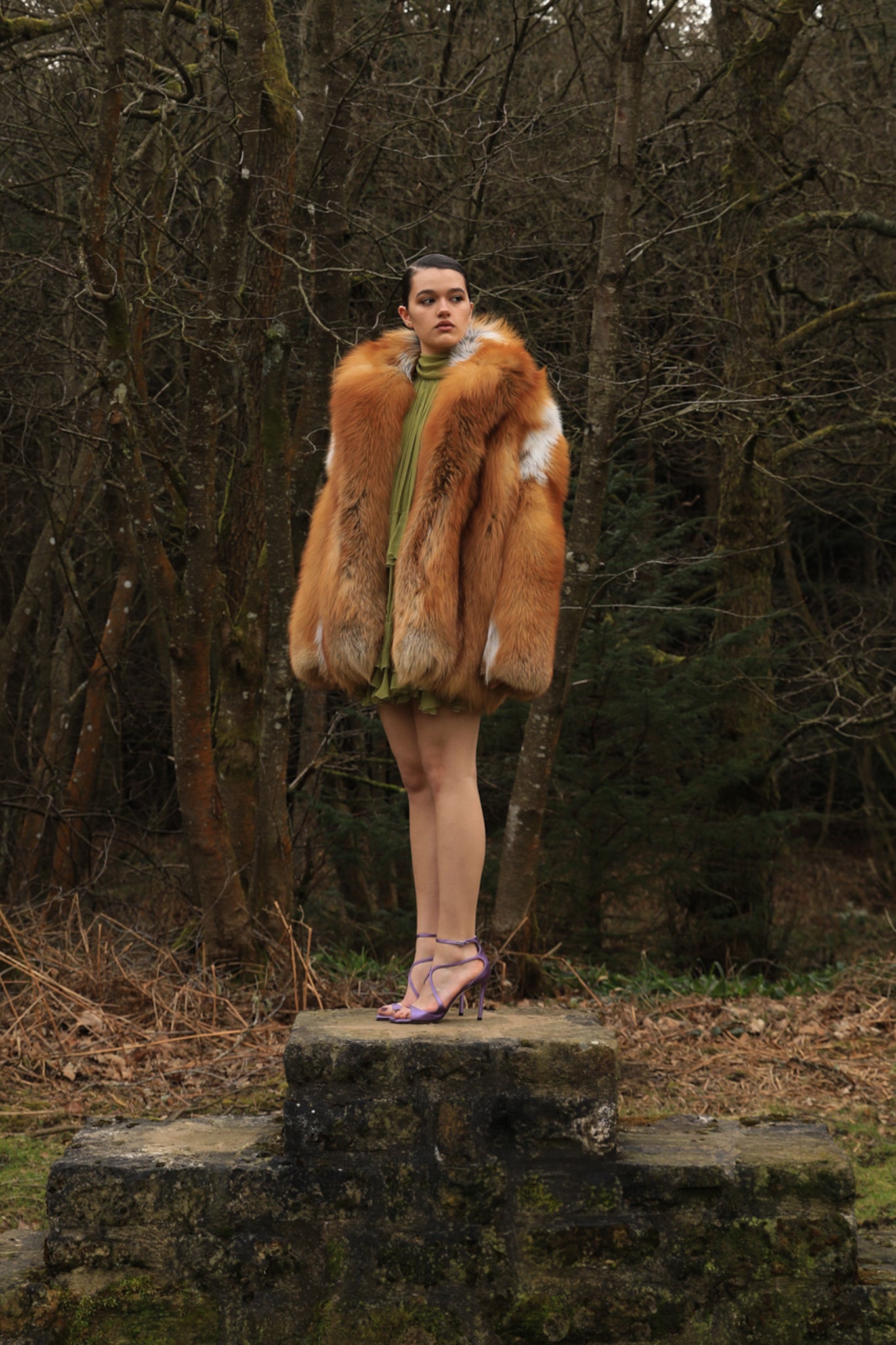 Joan in Fox